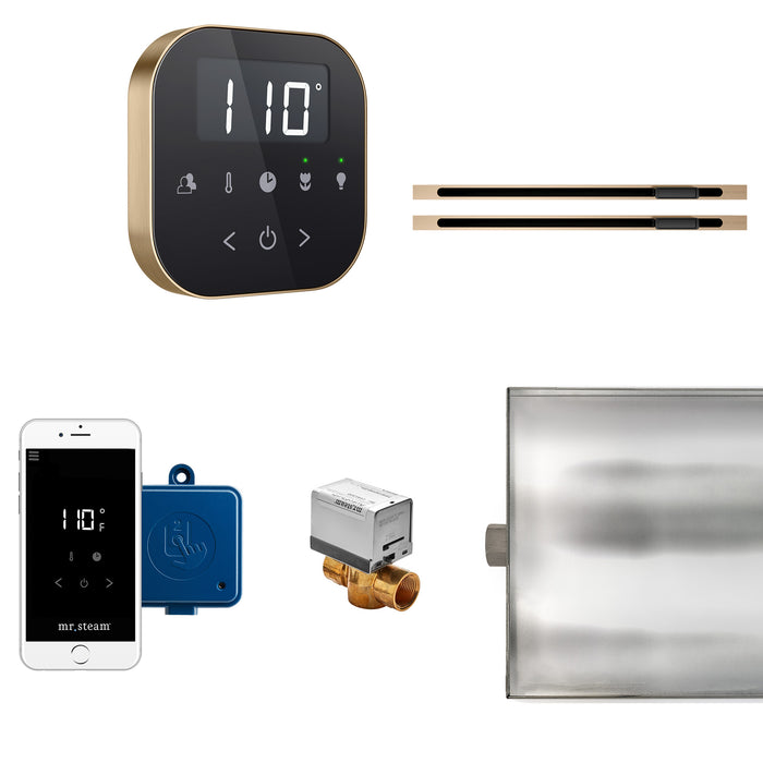Mr.Steam AirButler Max Linear Steam Shower Control Package with AirTempo Control and Linear SteamHead | ABTLRLX