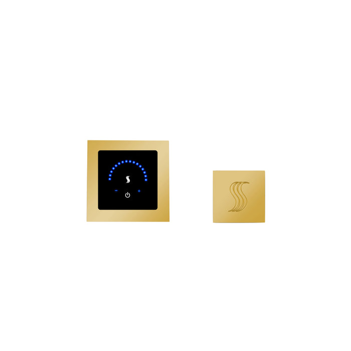 ThermaSol MicroTouch Kit Square Steam Shower Control | MTMR-SVSQ
