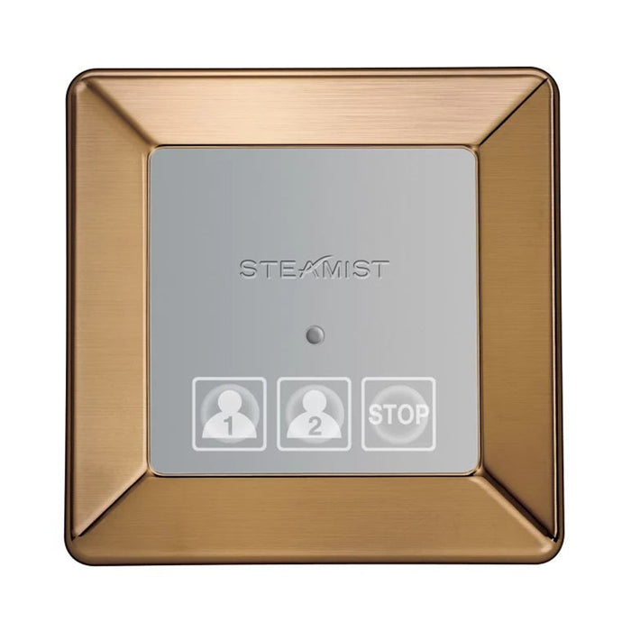 Steamist 220 On/Off Secondary Control