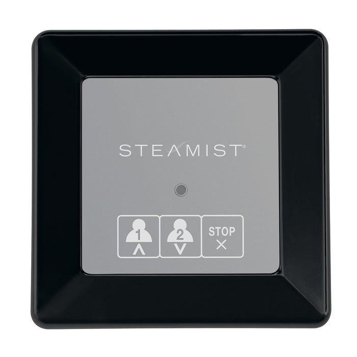 Steamist 220 On/Off Secondary Control