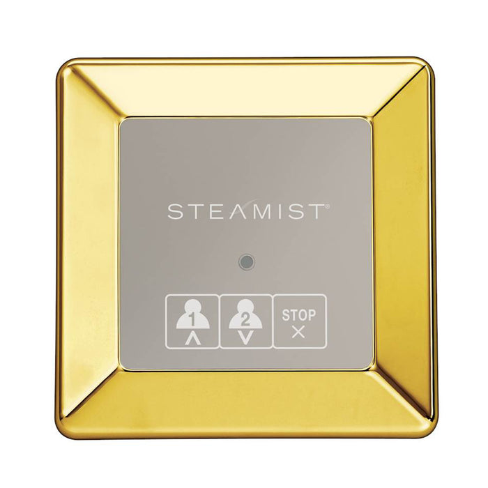Steamist 220 On/Off Secondary Control