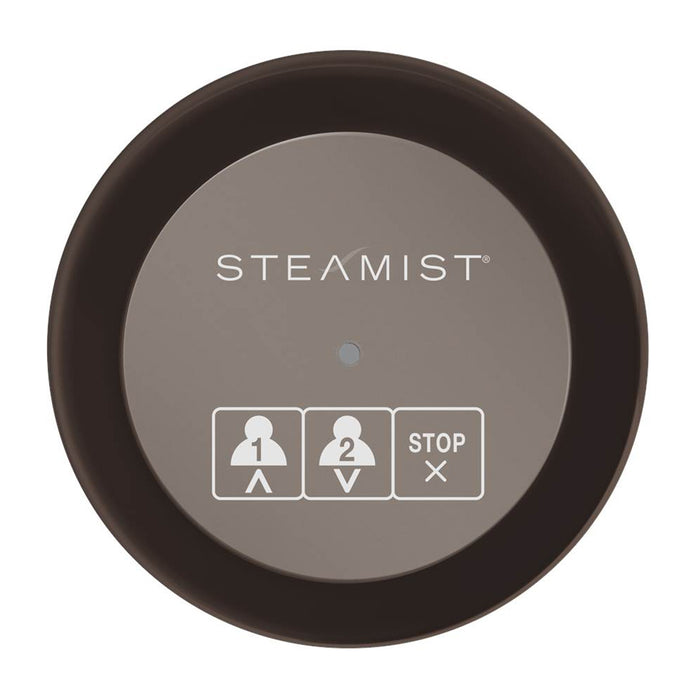 Steamist 220 On/Off Secondary Control