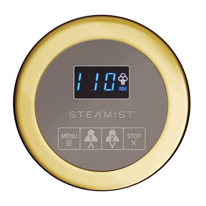 Steamist 220 On/Off Secondary Control