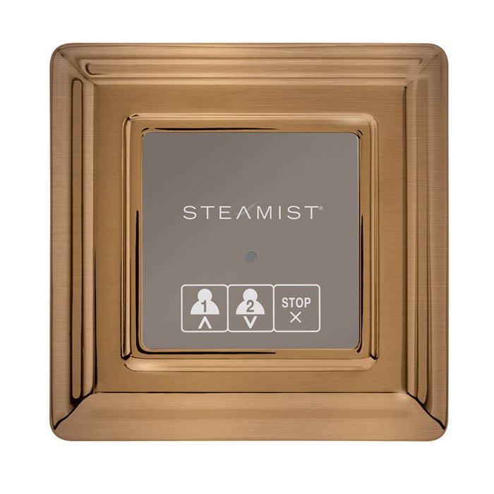 Steamist 220 On/Off Secondary Control