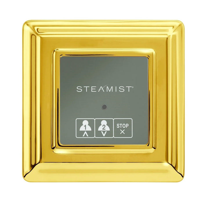 Steamist 220 On/Off Secondary Control